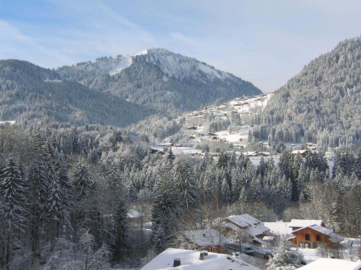 Chalet Génépi Montriond Kültér fotó