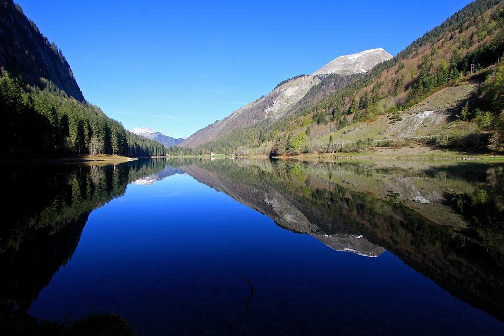 Chalet Génépi Montriond Kültér fotó